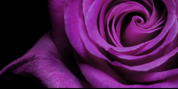 _mizZD_'s profile banner image