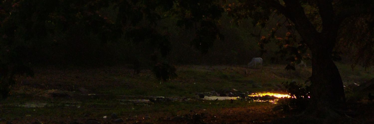 JGeollegue's profile banner image
