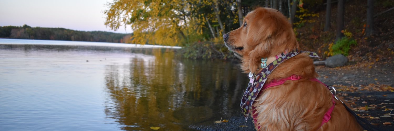 caitlinbernier's profile banner image