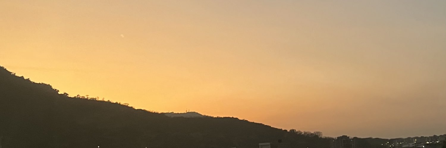 denissegf's profile banner image