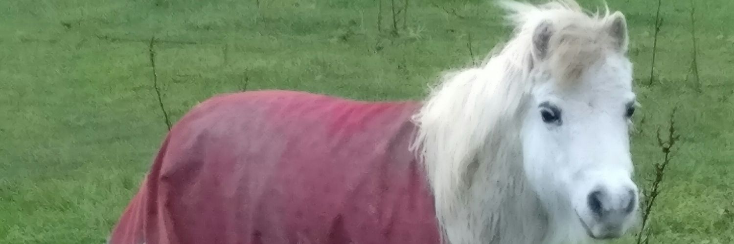 Linnga's profile banner image
