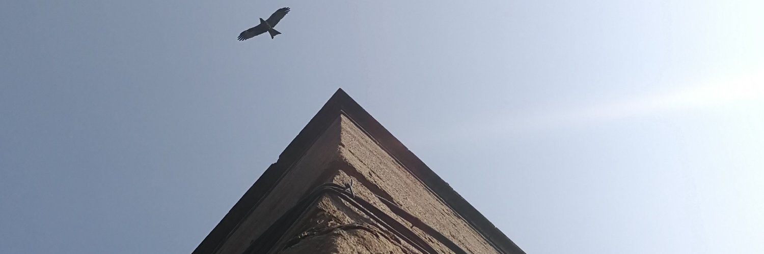 ParagSatpute's profile banner image
