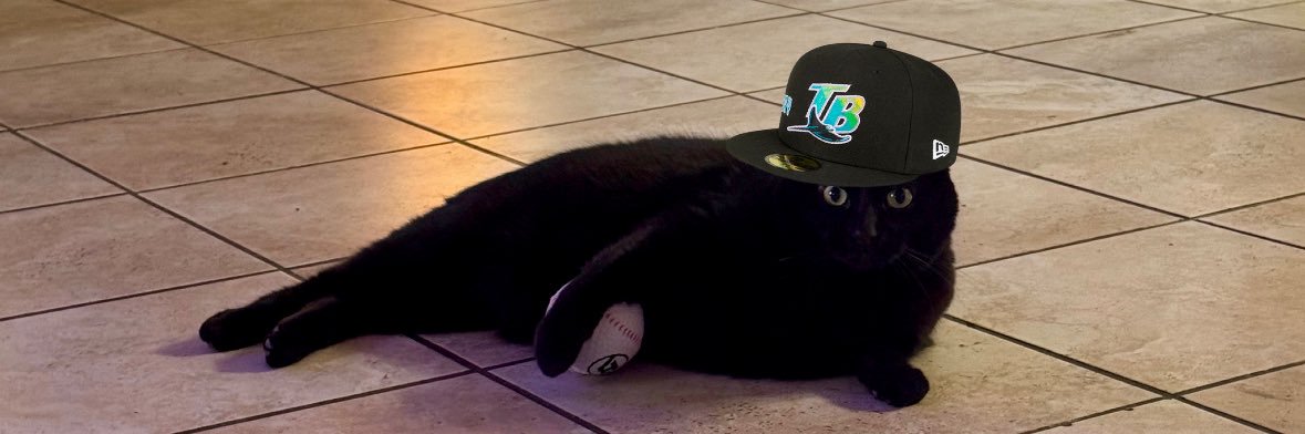 Baseball Enjoyer Juanday banner