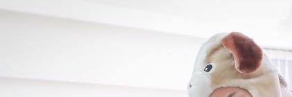 NAMPAxaqr's profile banner image