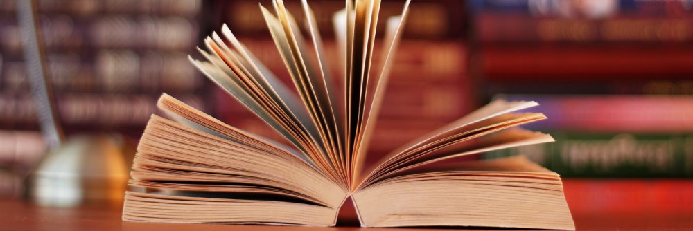 RosebudBookBarn's profile banner image