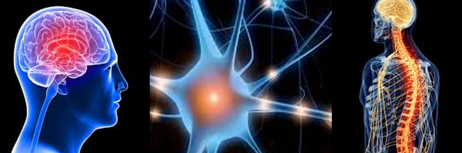 ThinkFirst Foundation banner