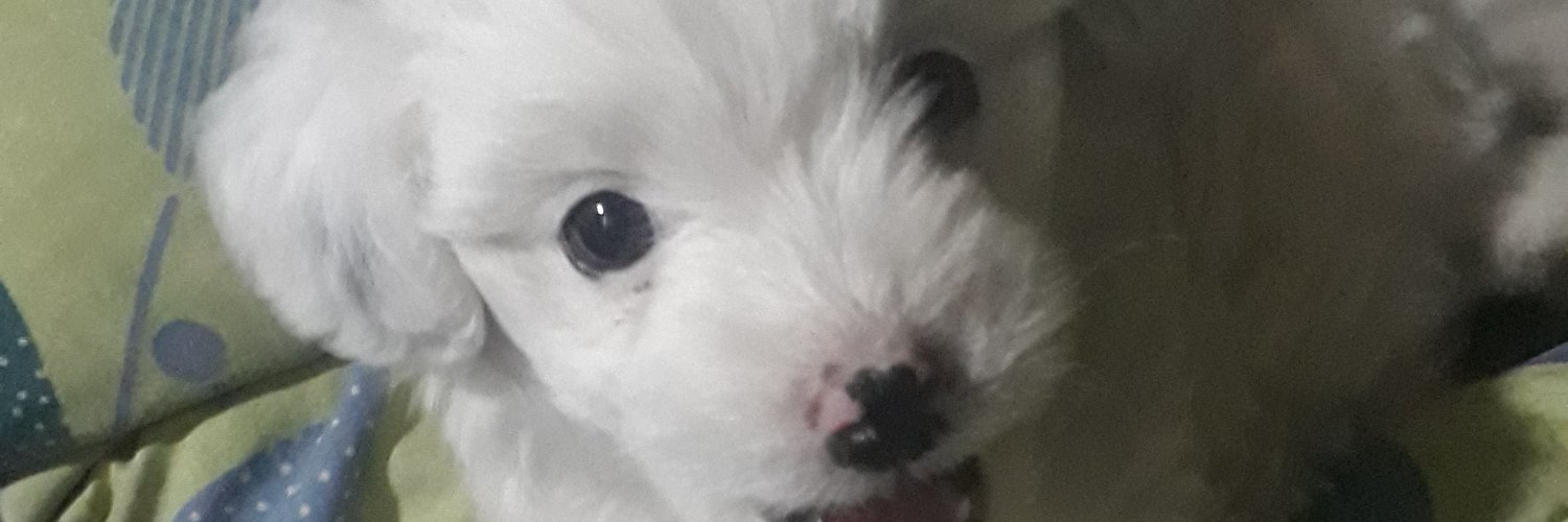 emilio_rh's profile banner image