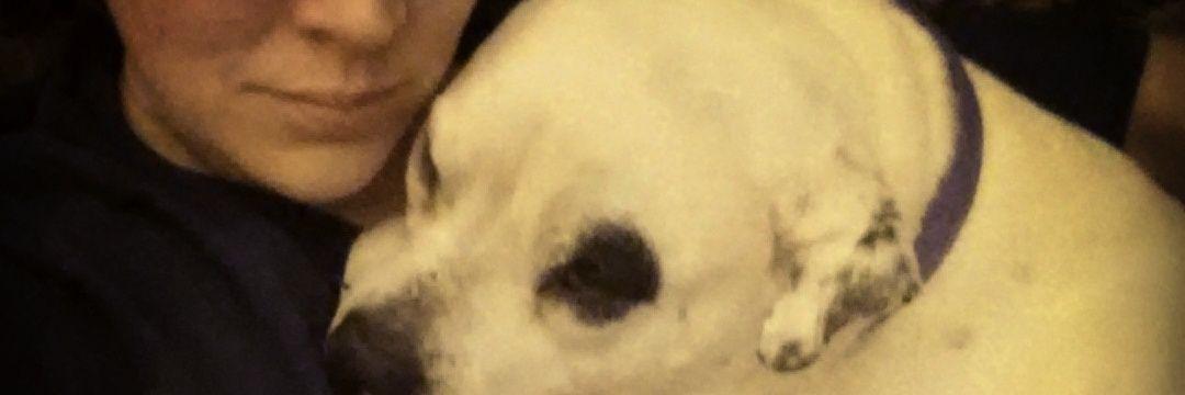 MissMegaBooty's profile banner image