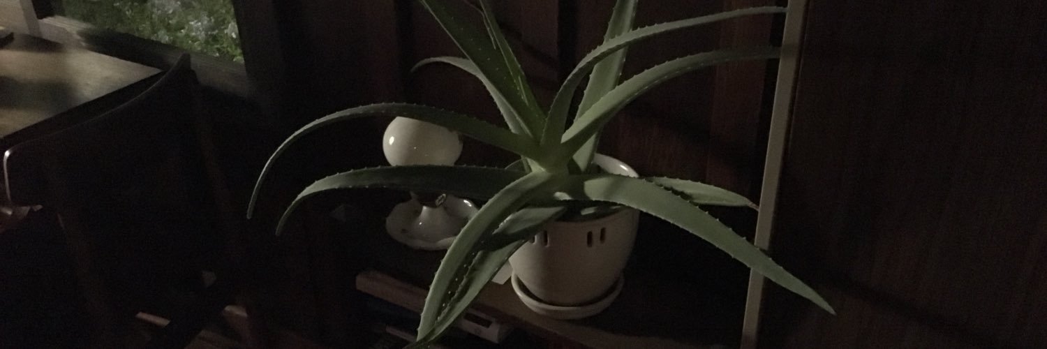 David Longstreth banner