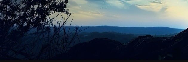 2211al's profile banner image