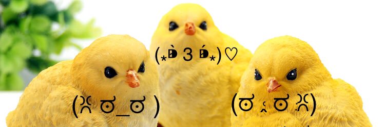 Alicia🐥 banner