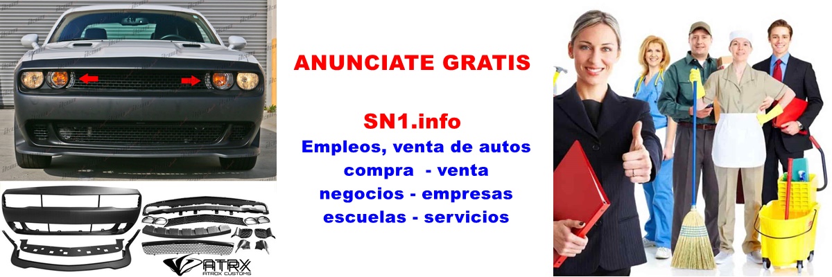 SN1.info's banner