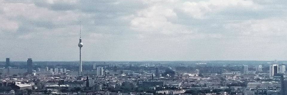 steffi siegmund banner