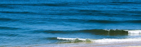 LBIprobz Profile Banner