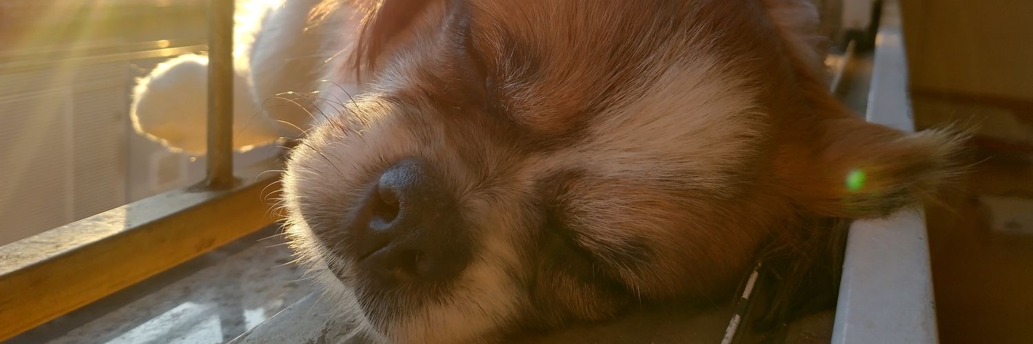salokin_'s profile banner image