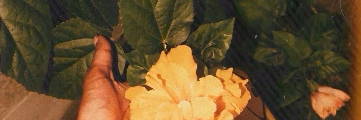 DanggSheTall's profile banner image