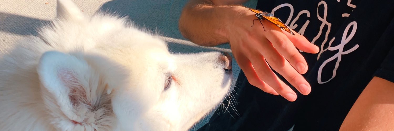 spookymike8's profile banner image