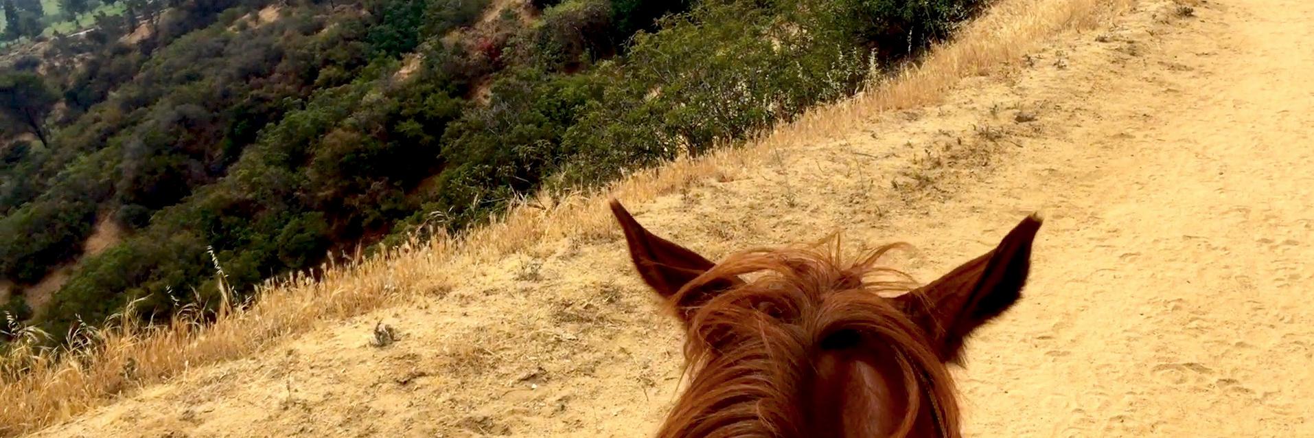 Christine Boylan (on hiatus) banner