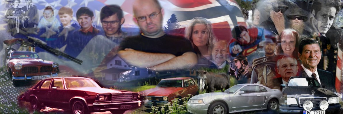 vindrust's profile banner image