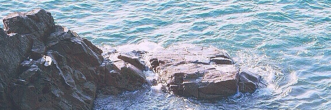 dargaryen95's profile banner image