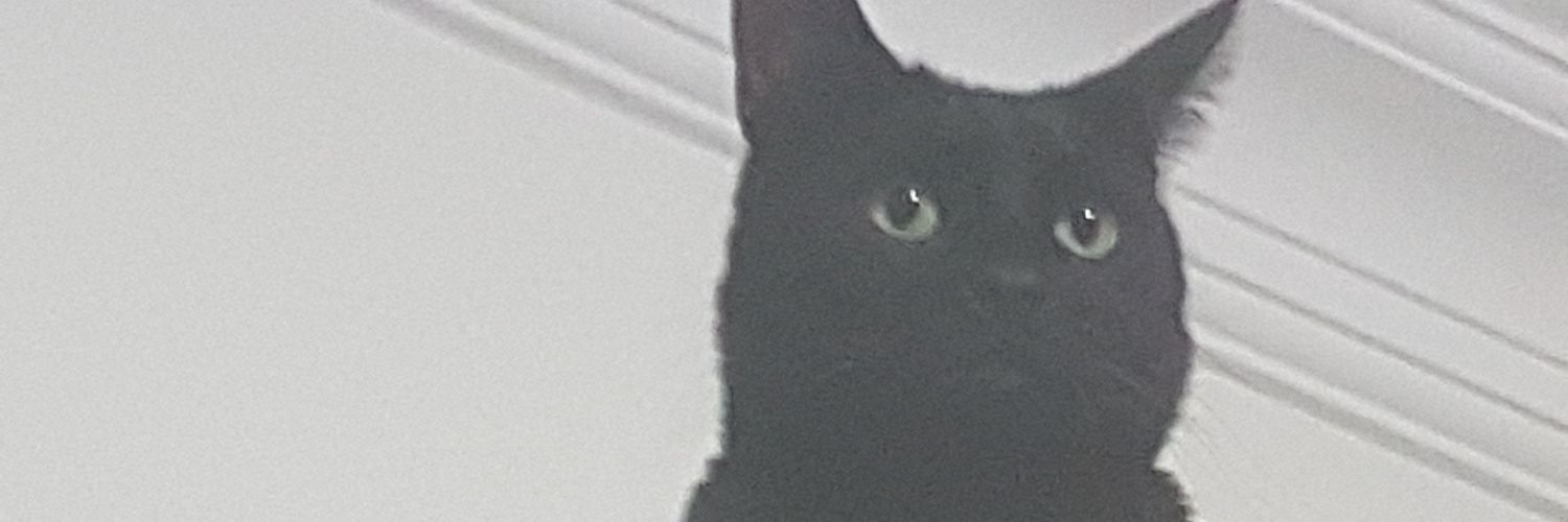 onmlidgl's profile banner image