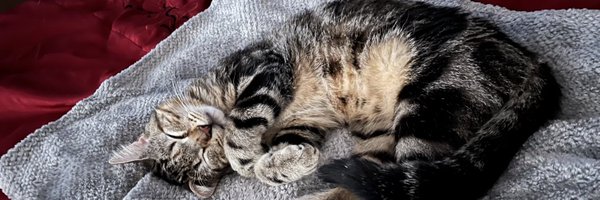 dcsas19 Profile Banner