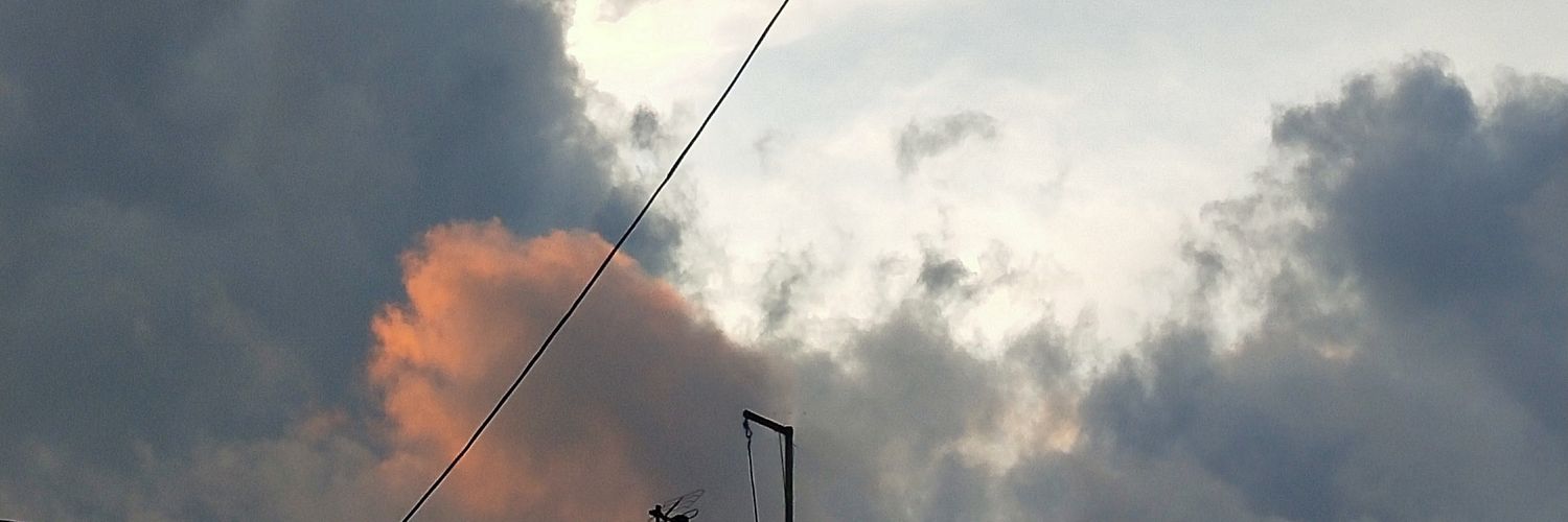 Triocid_'s profile banner image