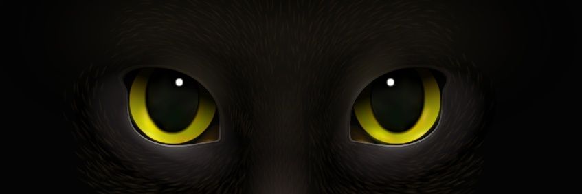 DwarkaYadav_'s profile banner image