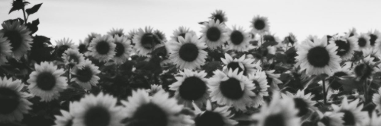 karahoward15's profile banner image