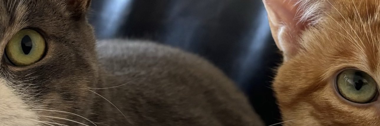 🖤 banner