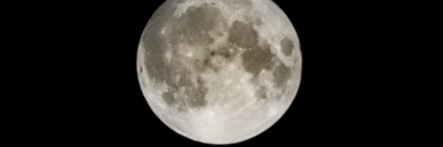 MollyKaySmith's profile banner image