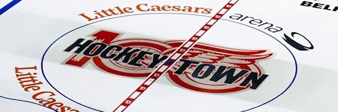 SpartyRedWing33 banner