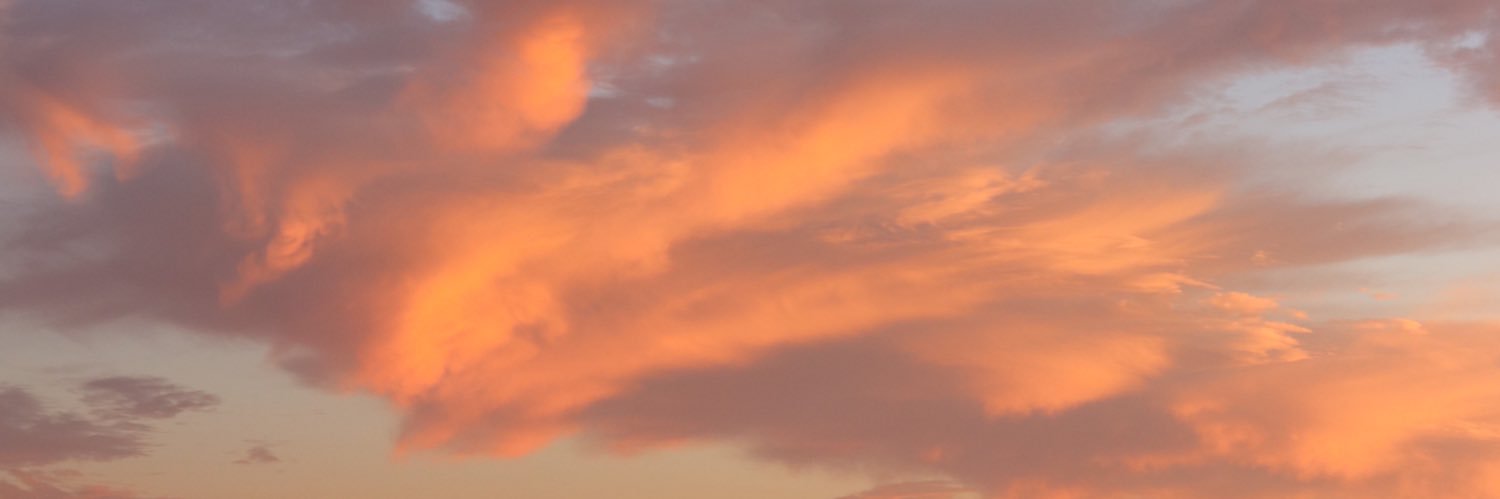 celinamryan's profile banner image