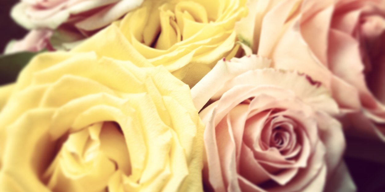 narneso's profile banner image