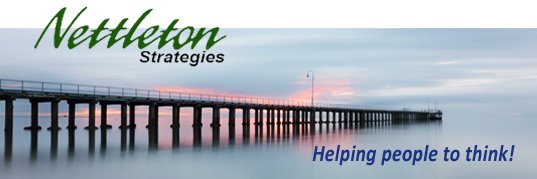 Nettleton Strategies banner