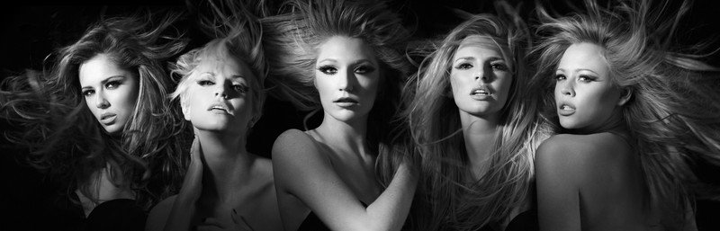 gustavo banner