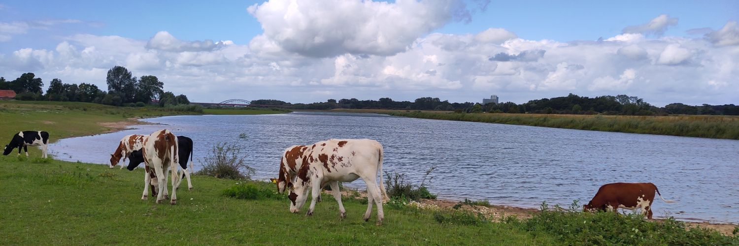 ✨Yours truly ✨ banner