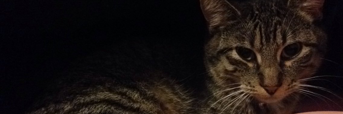 _brandyy22's profile banner image