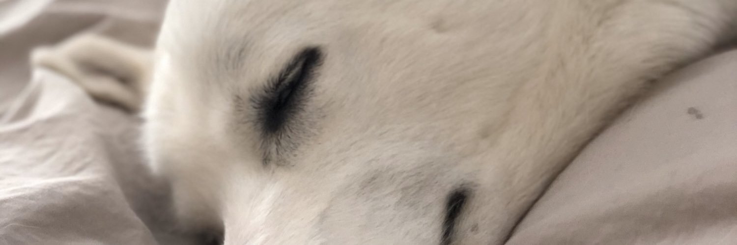 V banner