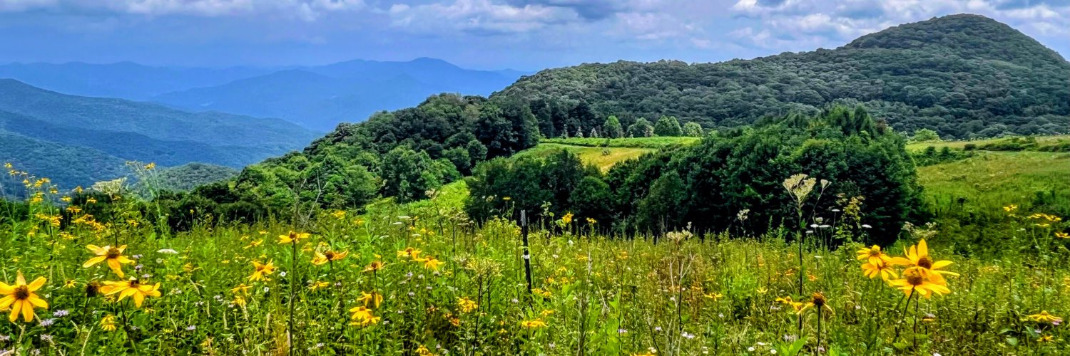 Jack Vander Leeuw banner