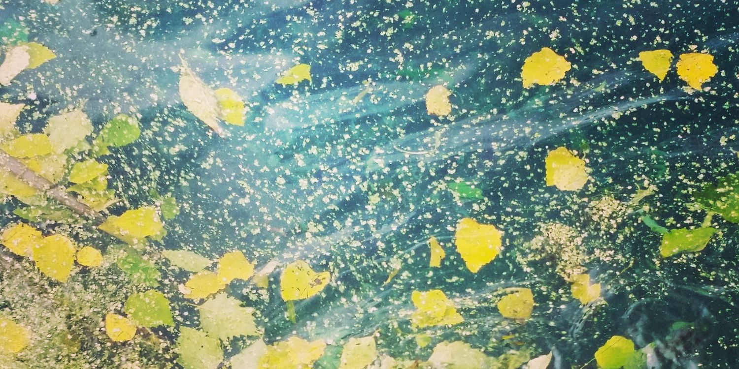 KRockweiler's profile banner image