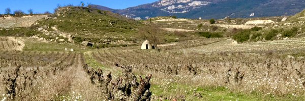 BethcWillard Profile Banner