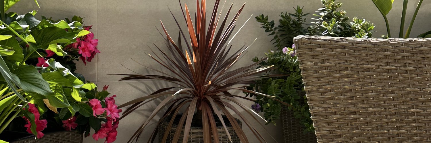 stuart menez banner