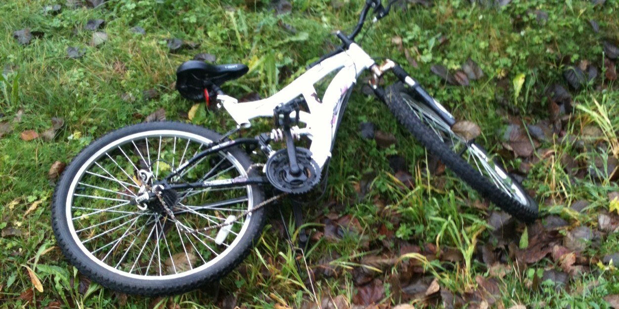 wolfdebris's profile banner image