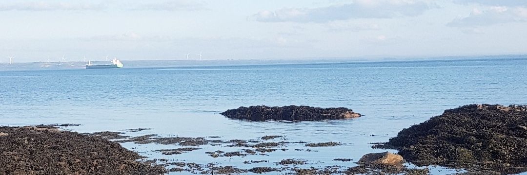 olearyan's profile banner image