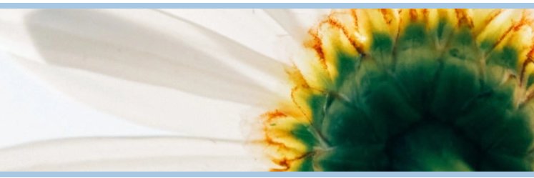 IndexCardCure's profile banner image