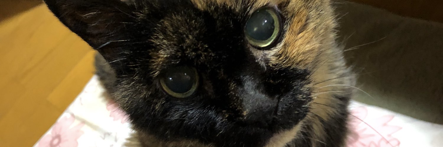 あかざてり banner