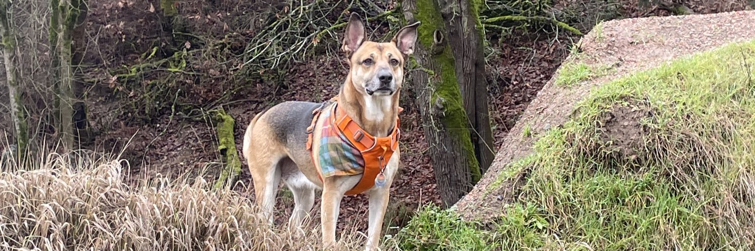 Cursed Millennial banner