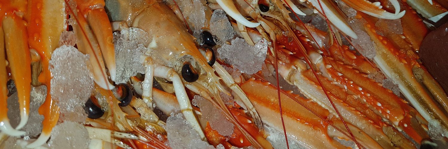 mjwhitefish's profile banner image