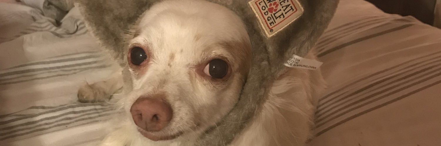 jokeel's profile banner image